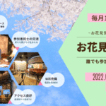 【初の休日開催】Dialog Working～お花見ver～