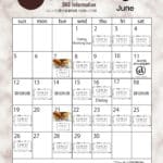 6月のカフェカレンダーが完成しました！